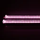 LED 2 x CB10w - Agrolite  - Miniatura 4
