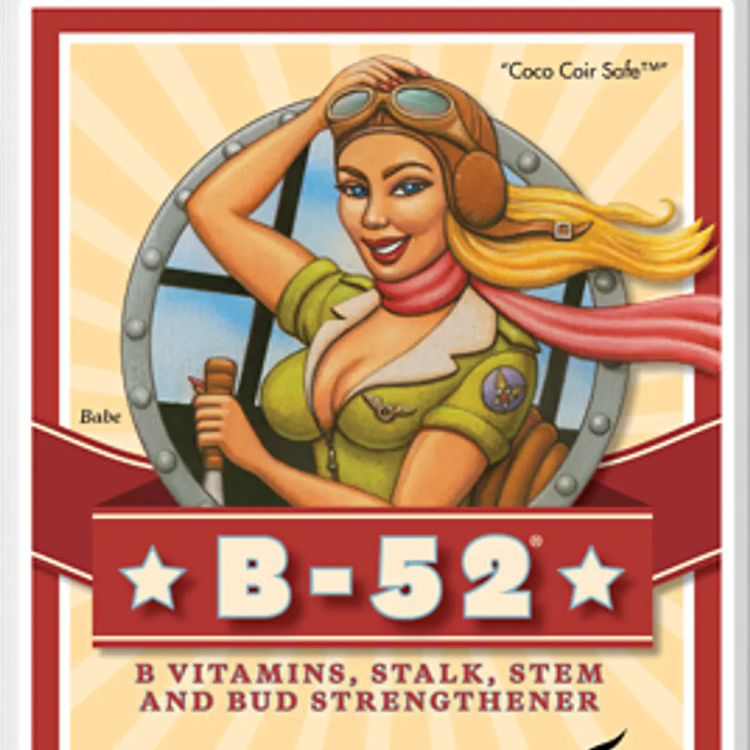 B-52 250ml - Advanced Nutrients  1