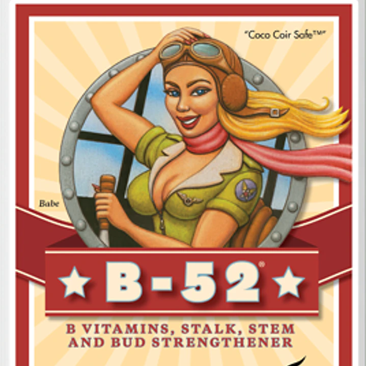 B-52 250ml - Advanced Nutrients  1