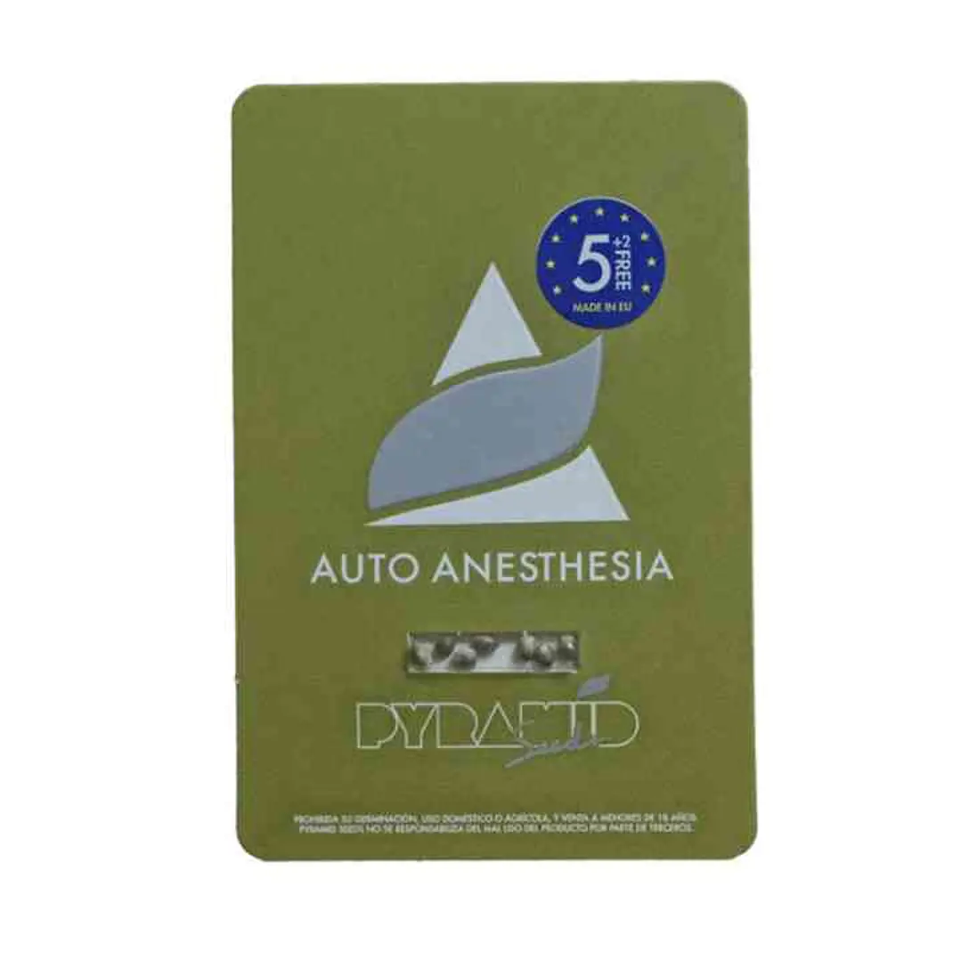 Auto Anesthesia - 5+2 - Pyramid Seeds 1