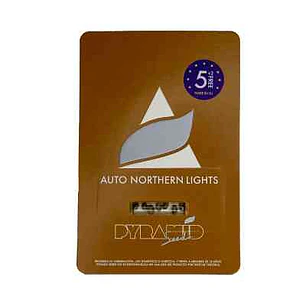 Auto Northern Lights - 5+2 - Pyramid Seeds 
