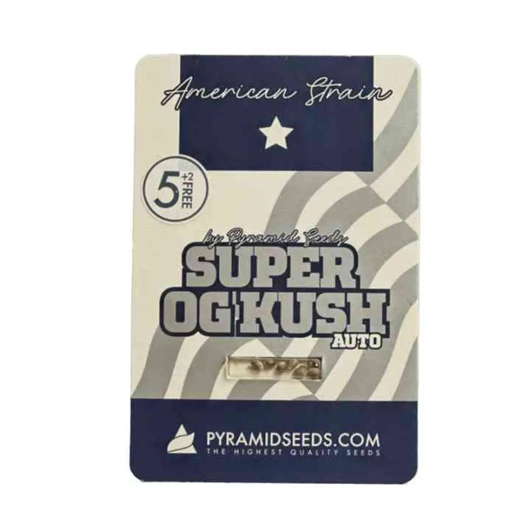 Auto Super OG Kush - 5+2 - Pyramid Seeds  1