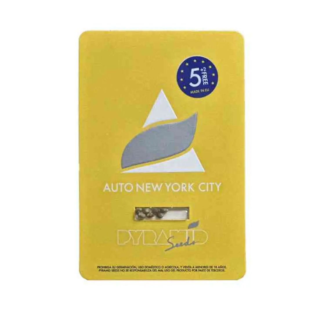Auto New York City - 5+2 - Pyramid Seeds  1
