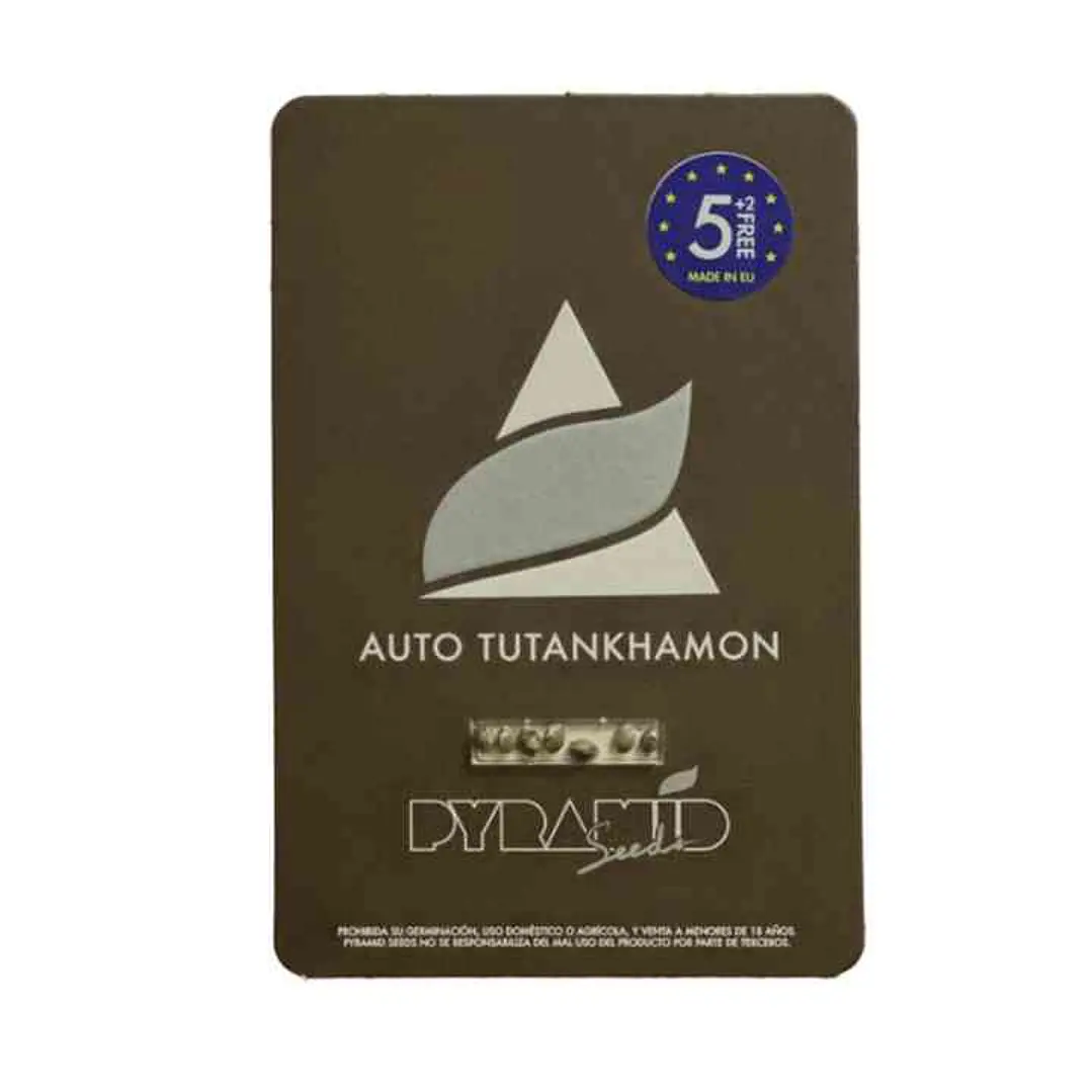 Auto Tutankhamon - 5+2 - Pyramid Seeds  1
