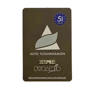 Auto Tutankhamon - 5+2 - Pyramid Seeds 