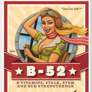 B-52 - 1Lt - Advanced Nutrients 