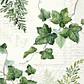 Servilleta Elwin Crema - A103 - Miniatura 1