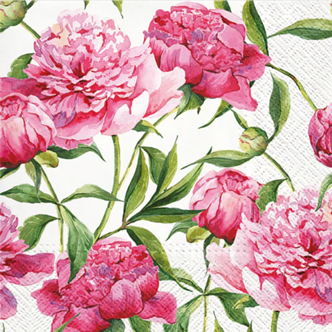Servilleta Peonias Rosas - A105