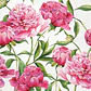 Servilleta Peonias Rosas - A105 - Miniatura 1