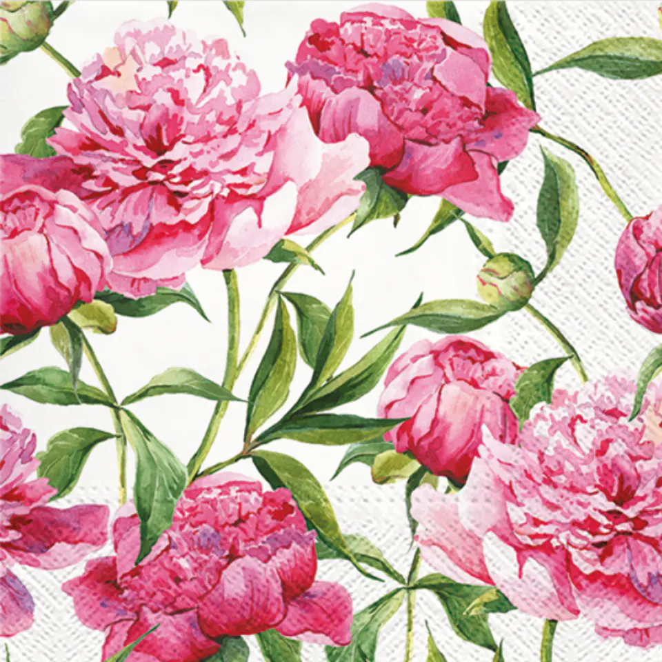 Servilleta Peonias Rosas - A105 1
