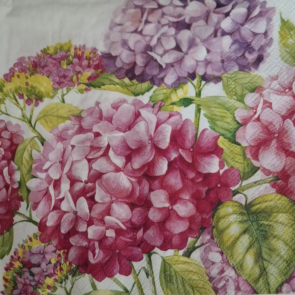 Servilleta Hortensia - A113 1