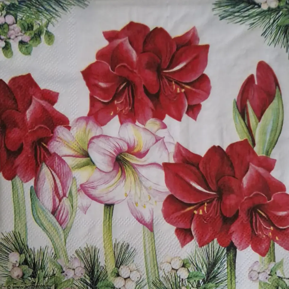 Servilleta Amarilis Roja y Rosada - A117 1