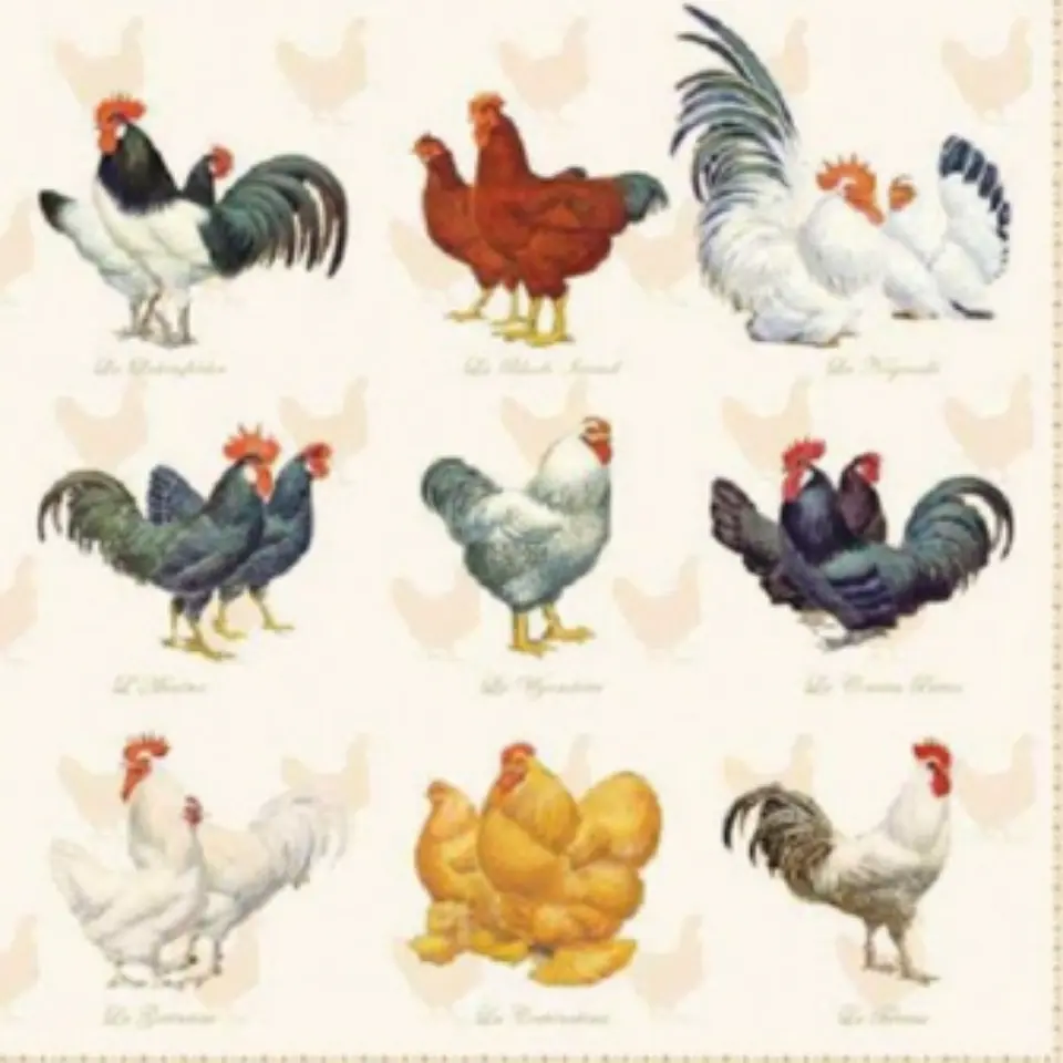 Servilleta Gallos y Gallinas - B207 1