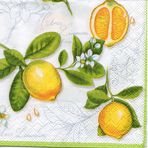 Servilleta Limón Fresco - B210