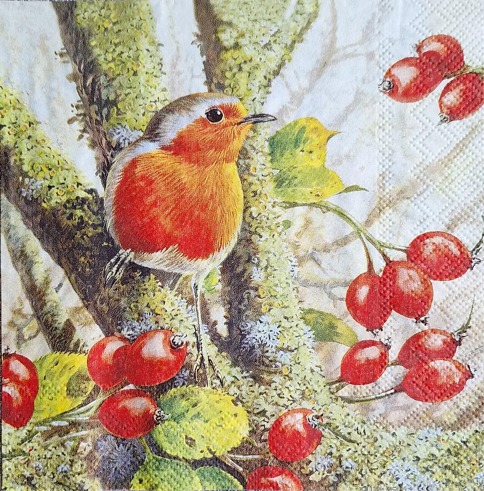 Servilleta Pájaro entre Frutos Rojos - C317 1