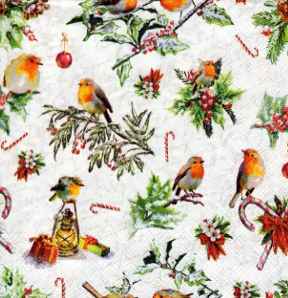 Servilleta Pájaros Navideños - D419 1