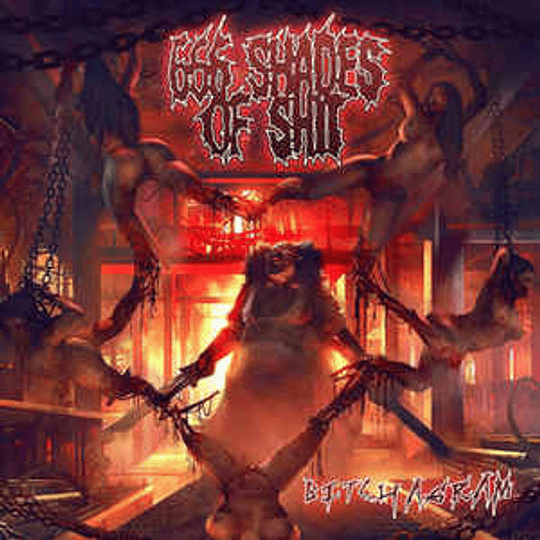 666 Shades Of Shit - Bitchagram CD