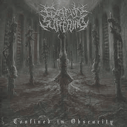 Fixation On Suffering ‎– Confined In Obscurity CD