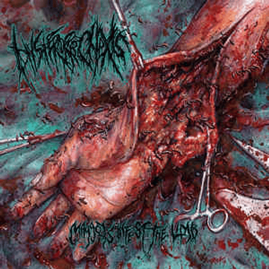 Hysterorrhexis ‎– Maggots Infest The Limb CD