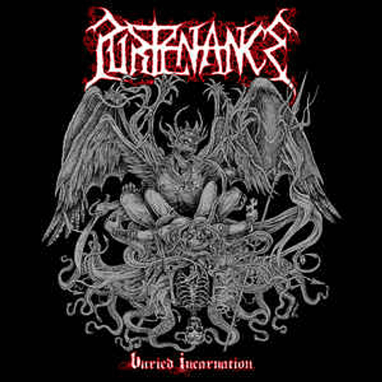Purtenance ‎– Buried Incarnation CD