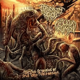 Perversity Denied / Fatuous Rump-Split Cd 