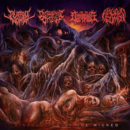 Putrid Womb, Disfigurement Of Flesh, Decomposition Of Entrails, Fatuous Rump ‎– Dissolution Of The Wicked CD