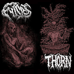Fumes/Thorn  ‎– Split MCD