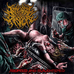 Internal Devour ‎– Aborted And Slaughtered CD