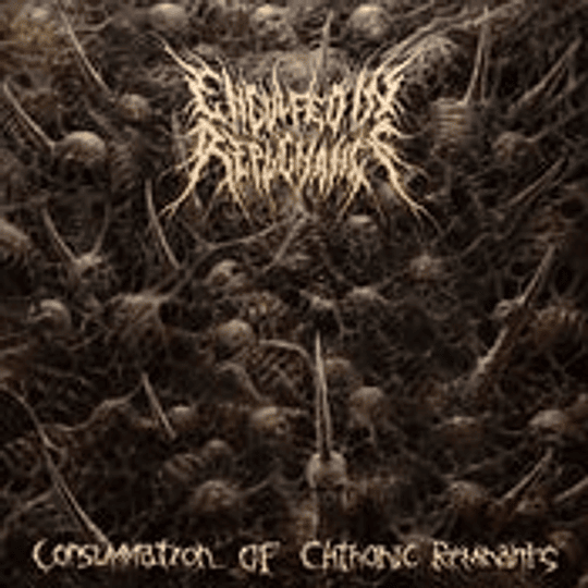 Engulfed In Repugnance- Consummation Of...CD