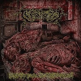 Teratology  – The Lingering Stench Of Anatomopathological Scum CD