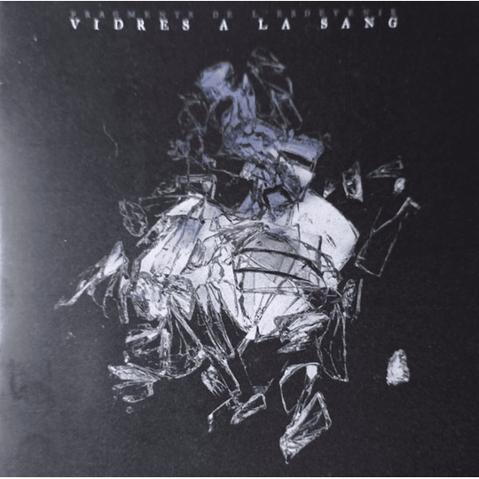 Vidres A La Sang – Fragments De L'Esdevenir CD
