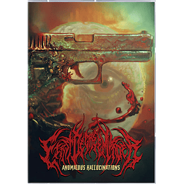 First Degree Murder  – Anomalous Hallucinations DVD CASE CD