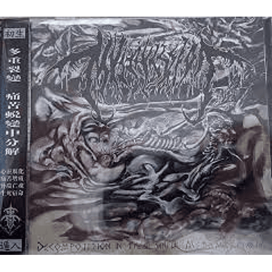 Mvltifission – Decomposition In The Painful Metamorphosis CD