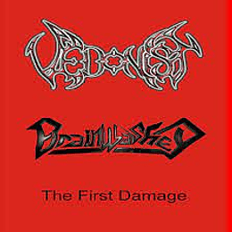 Vedonist/Brainwashed- The Final Damage CD