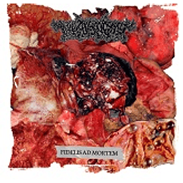 Thanatopsis- Fideles Ad Mortem DIGMCD