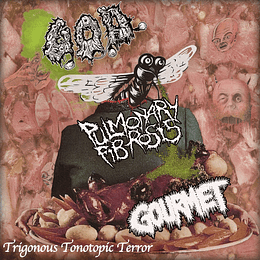 G.O.D.  / Gourmet  / Pulmonary Fibrosis – Trigonous Tonotopic Terror CD