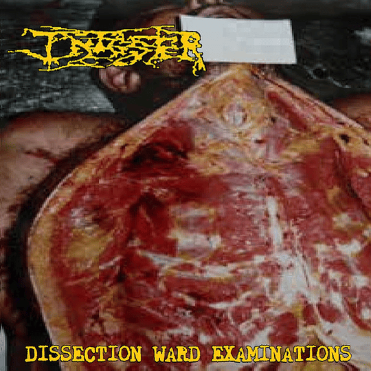Infester  – Dissection Ward Examinations LP