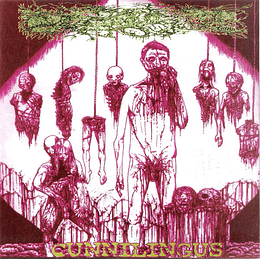 Paracoccidioidomicosisproctitissarcomucosis / Butcher ABC – Paracoccidioidomicosisproctitissarcomucosis / Butcher ABC CD