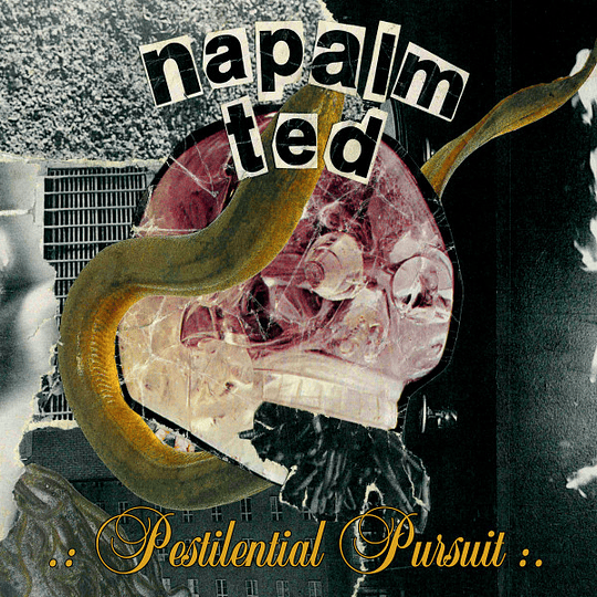 Napalm Ted – Pestilential Pursuit MCDR