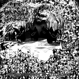 Deathswarm – Shadowlands Of Darkness LP