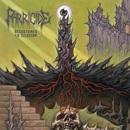 Parricide – Accustomed To Illusion CD