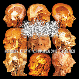 Pathologist – Morbidious History Of Necromantical Sonic Terrorization CD