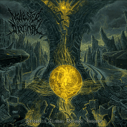 Molested Divinity – Desolated Realms Through Iniquity CD