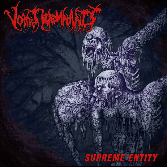 Vomit Remnants – Supreme Entity LP