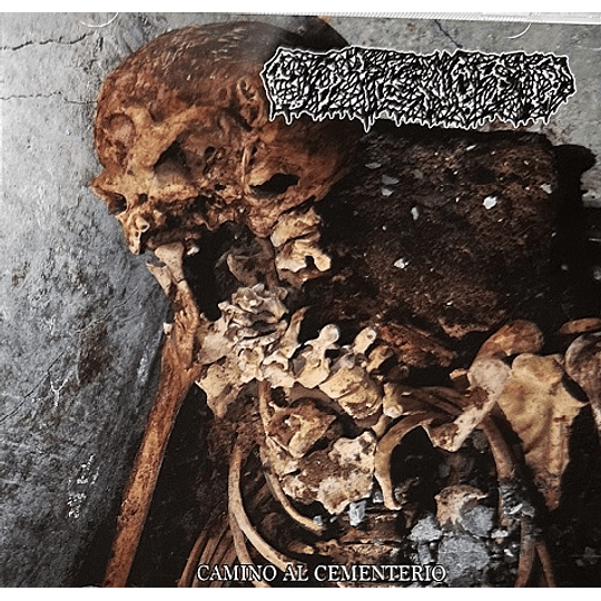 Estenosis – Camino Al Cementerio CD