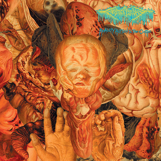 FesterDecay – Reality Rotten To The Core CD