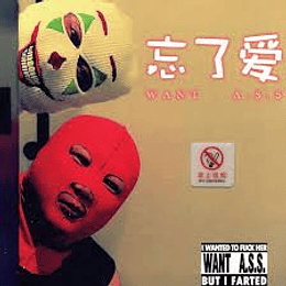 WANT A.S.S. – Wanted To Fuck Her, But I Farted CD