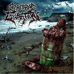Cerebral Incubation – Asphyxiating On Excrement CD