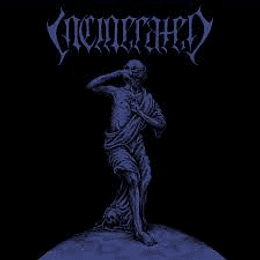 Incinerated  – The Epitome Of Transgression CD