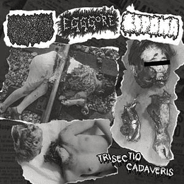 Liquid Viscera, Egggore, Lipoma – Trisectio Cadaveris CD